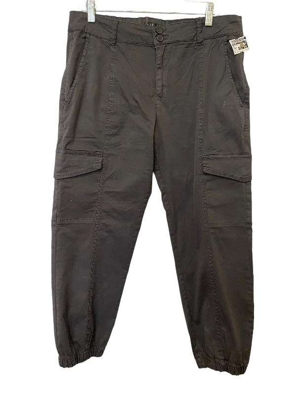 Reinforced cargo pants for heavy-duty field work -Pants Other By Sanctuary In Grey, Size: 30